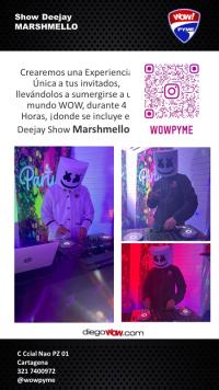 EL MEJOR DJ MARSHMELLO EN CARTAGENA DE INDIAS 